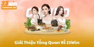 Giới Thiệu Tổng Quan Về 23Win